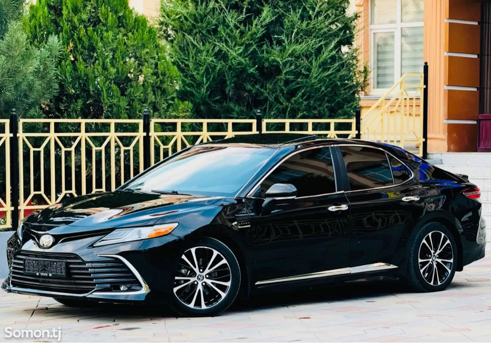 Toyota Camry, 2019-1