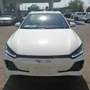 BYD E2, 2024