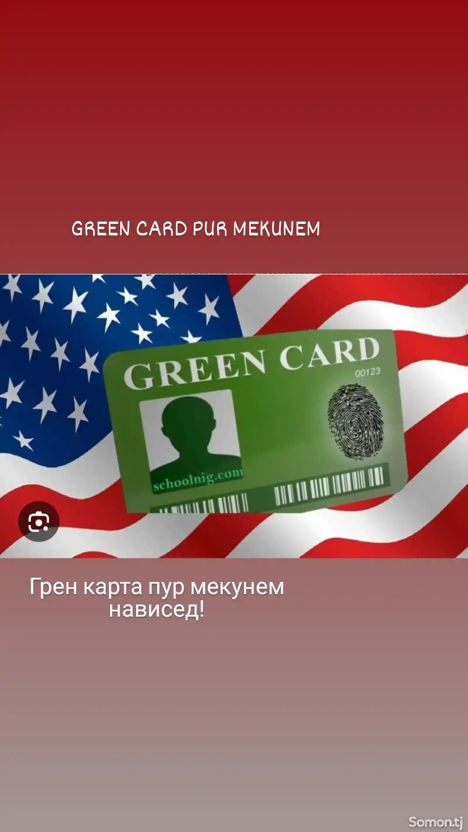 Услуги по заполнению Green card