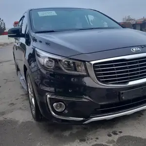 Kia Carnival, 2016