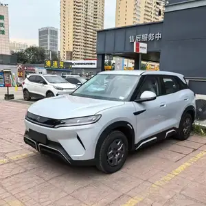 BYD Yuan Up, 2025