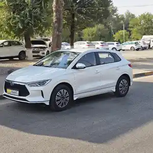 BYD E2, 2022