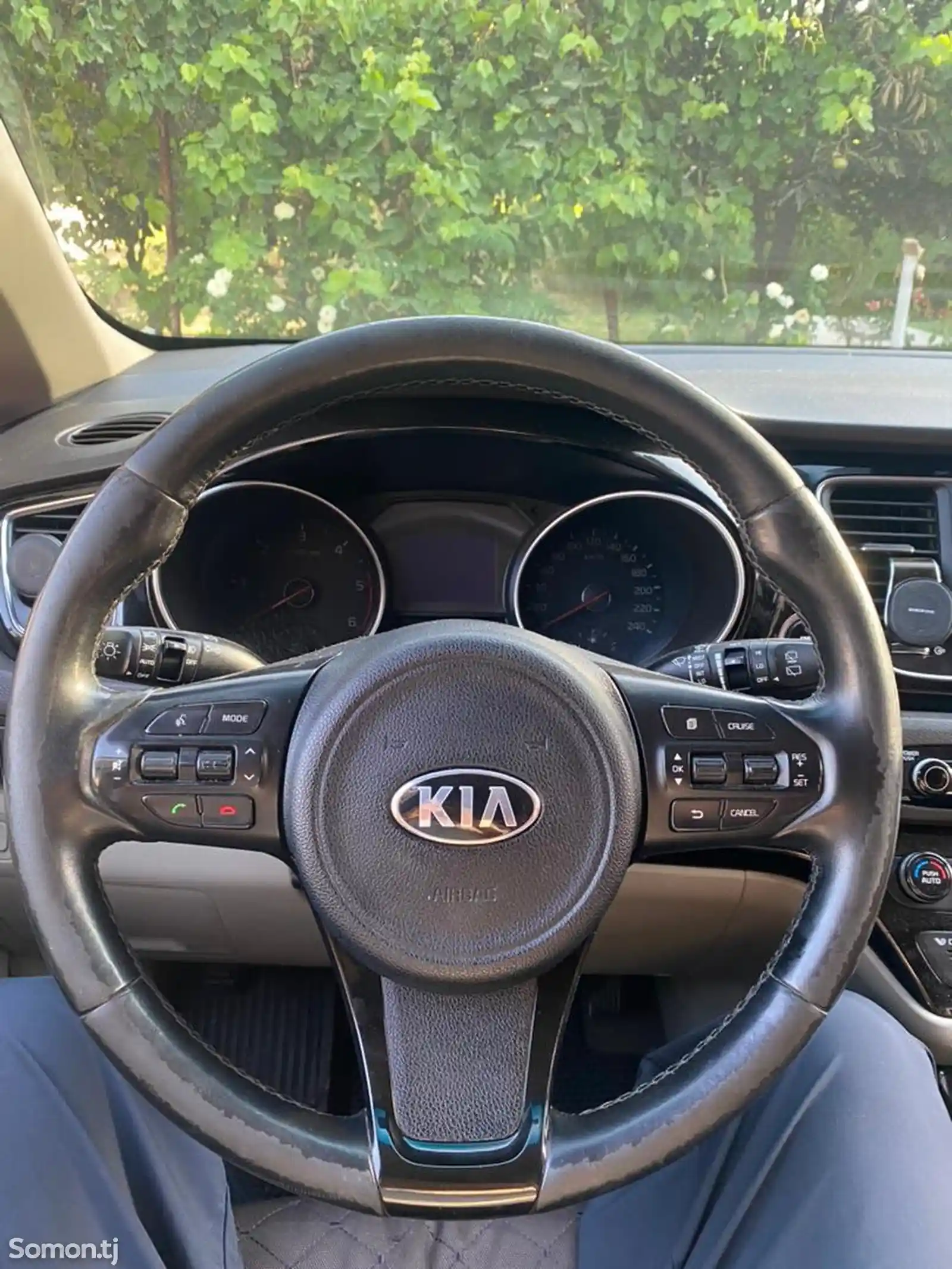 Kia Carnival, 2015-9