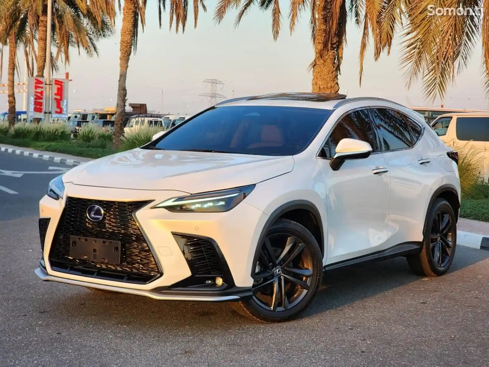 Lexus NX series, 2023-5