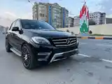 Mercedes-Benz ML class, 2014-15