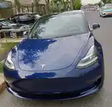 Tesla Model 3, 2020-2