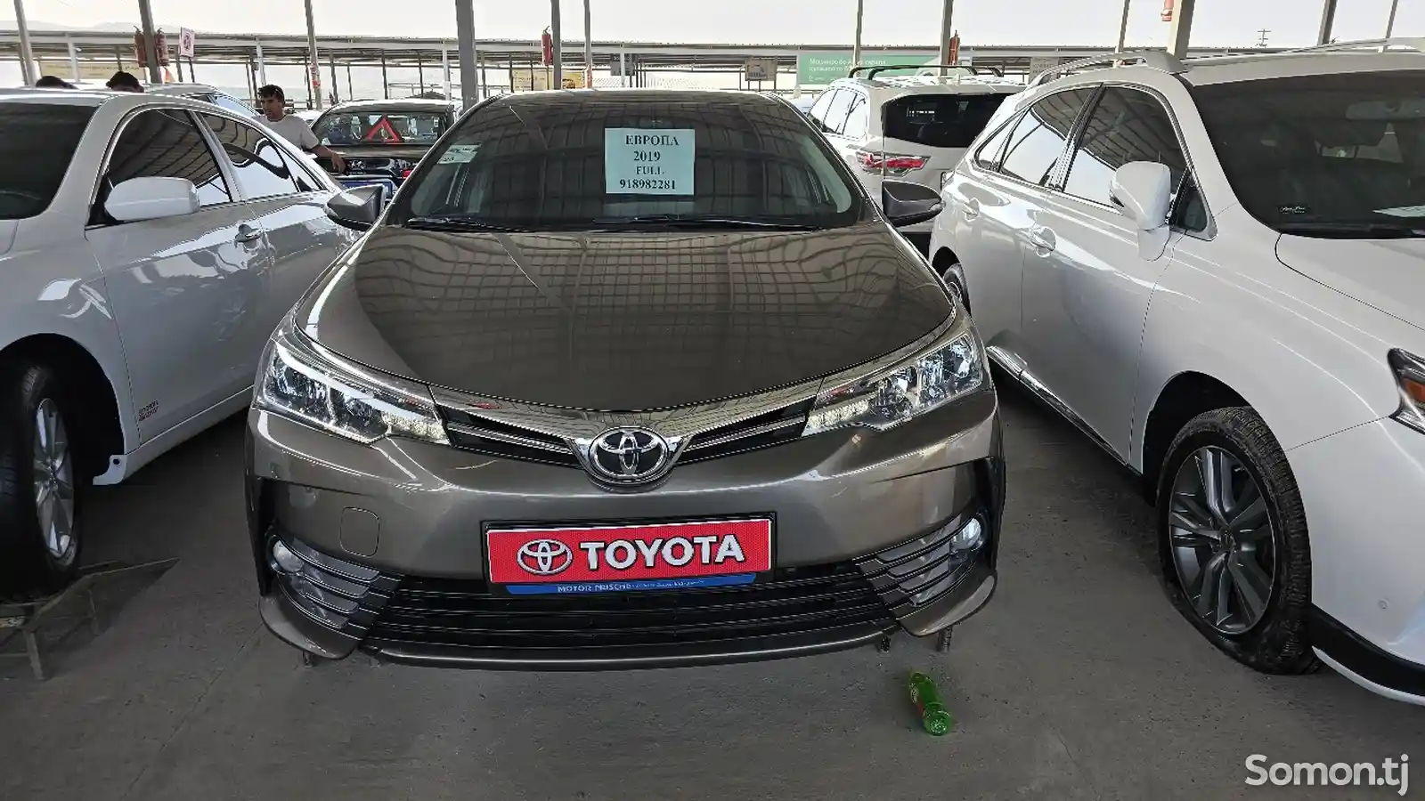 Toyota Corolla, 2019-1