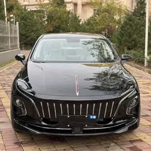 Hongqi E-QM5, 2024