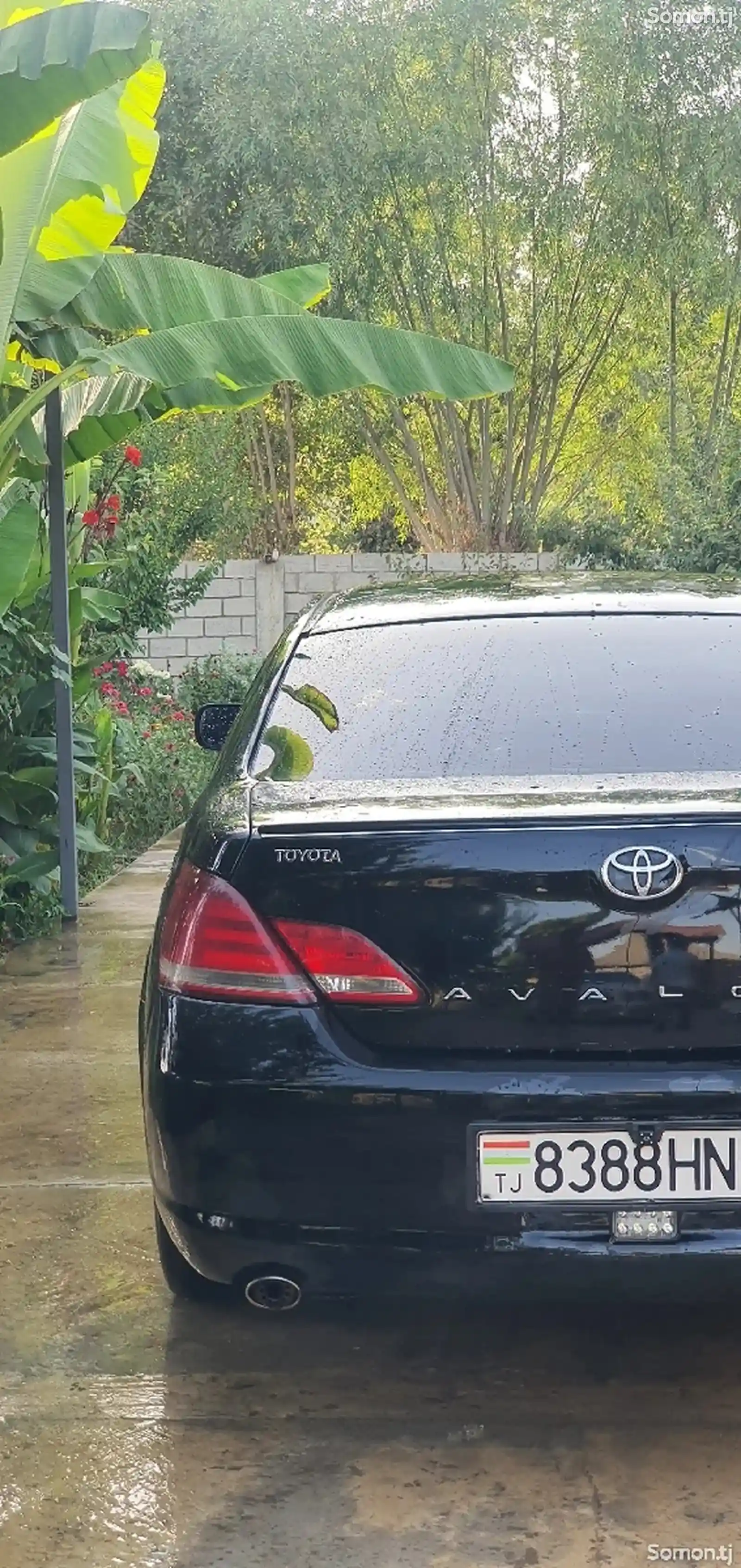 Toyota Avalon, 2006-2