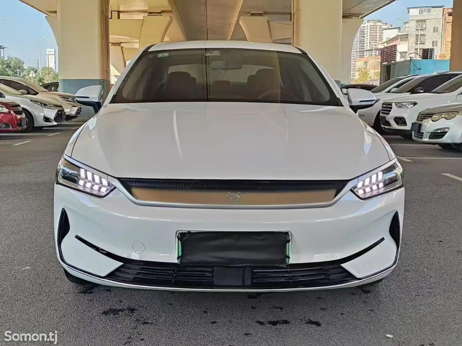 BYD Qin Plus, 2022-1