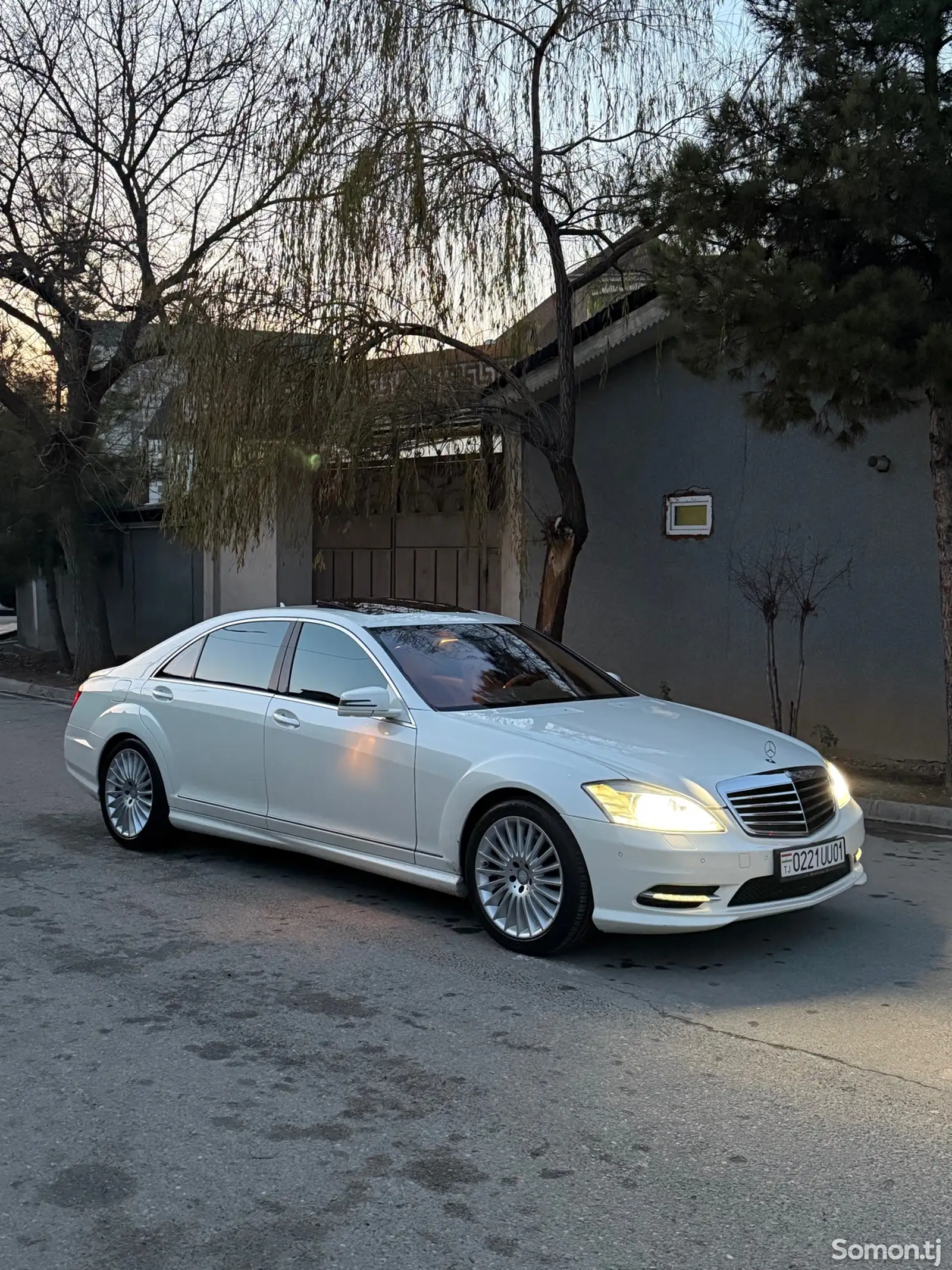 Mercedes-Benz S class, 2010-1