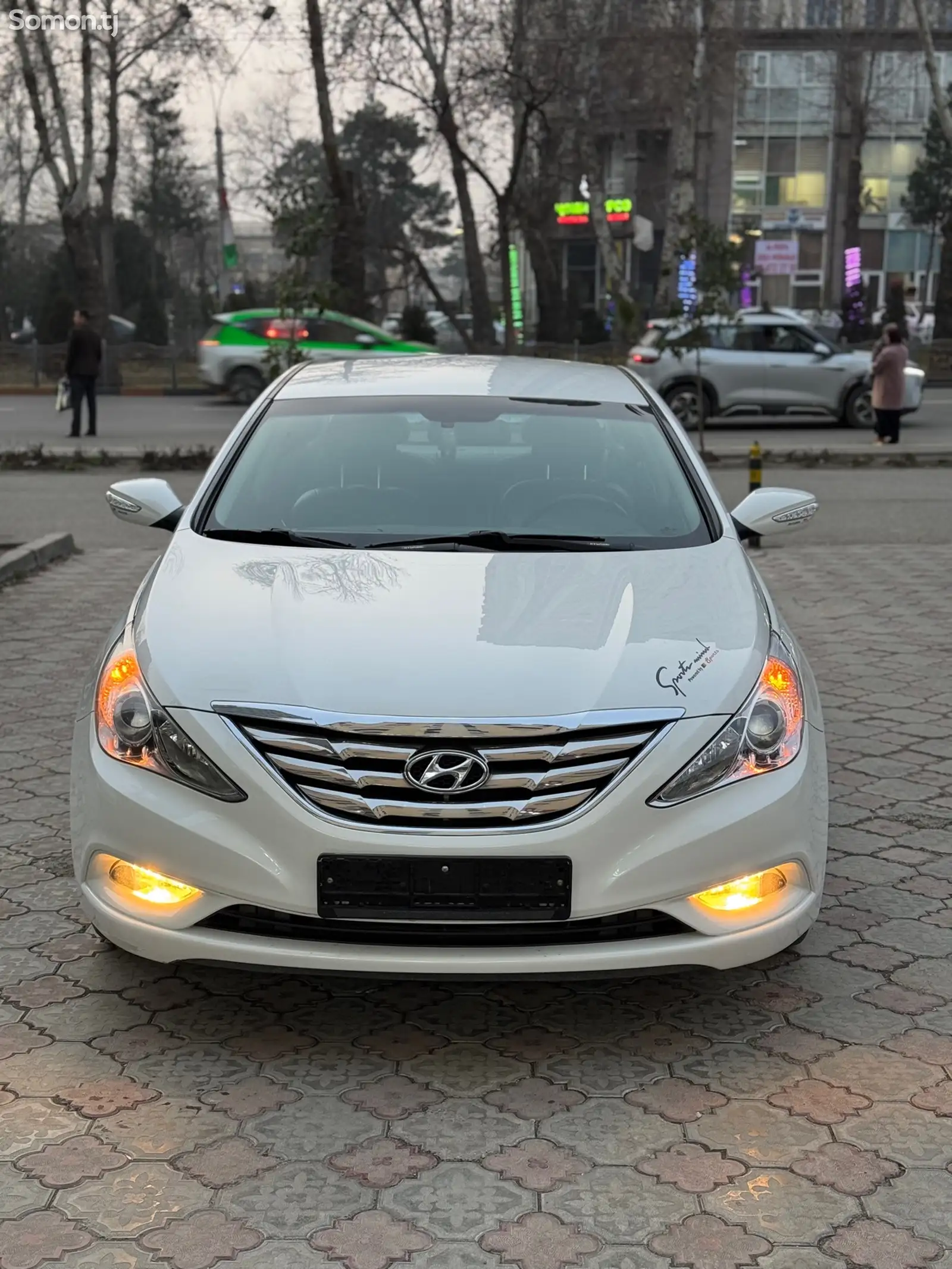 Hyundai Sonata, 2010-1