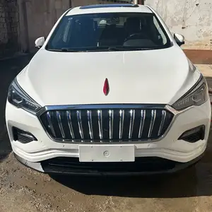 Hongqi E-HS3, 2019