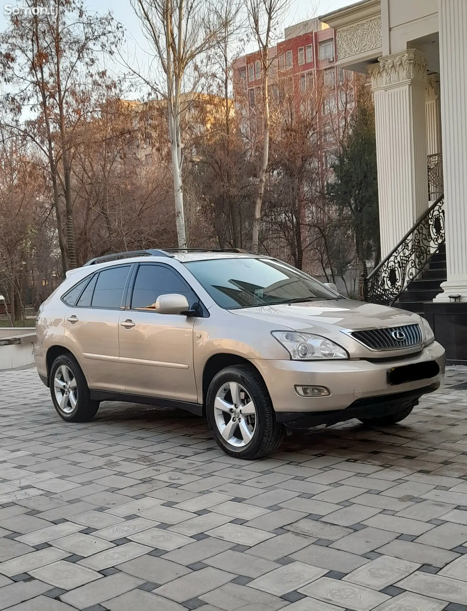 Lexus RX series, 2007-1