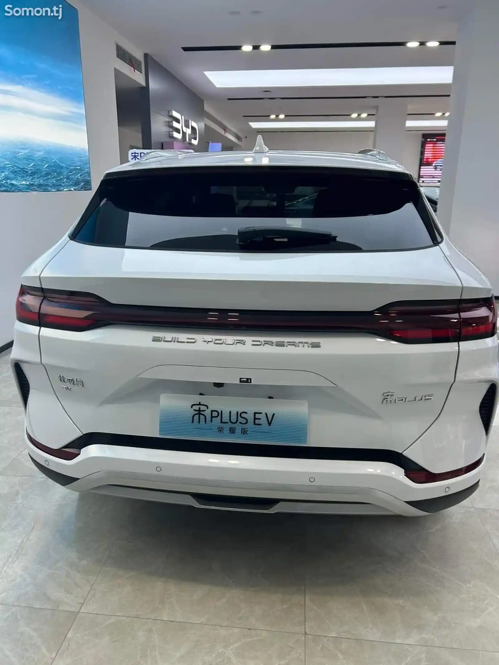 BYD Song Plus Flagship, 2024-2