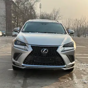 Lexus NX series, 2018