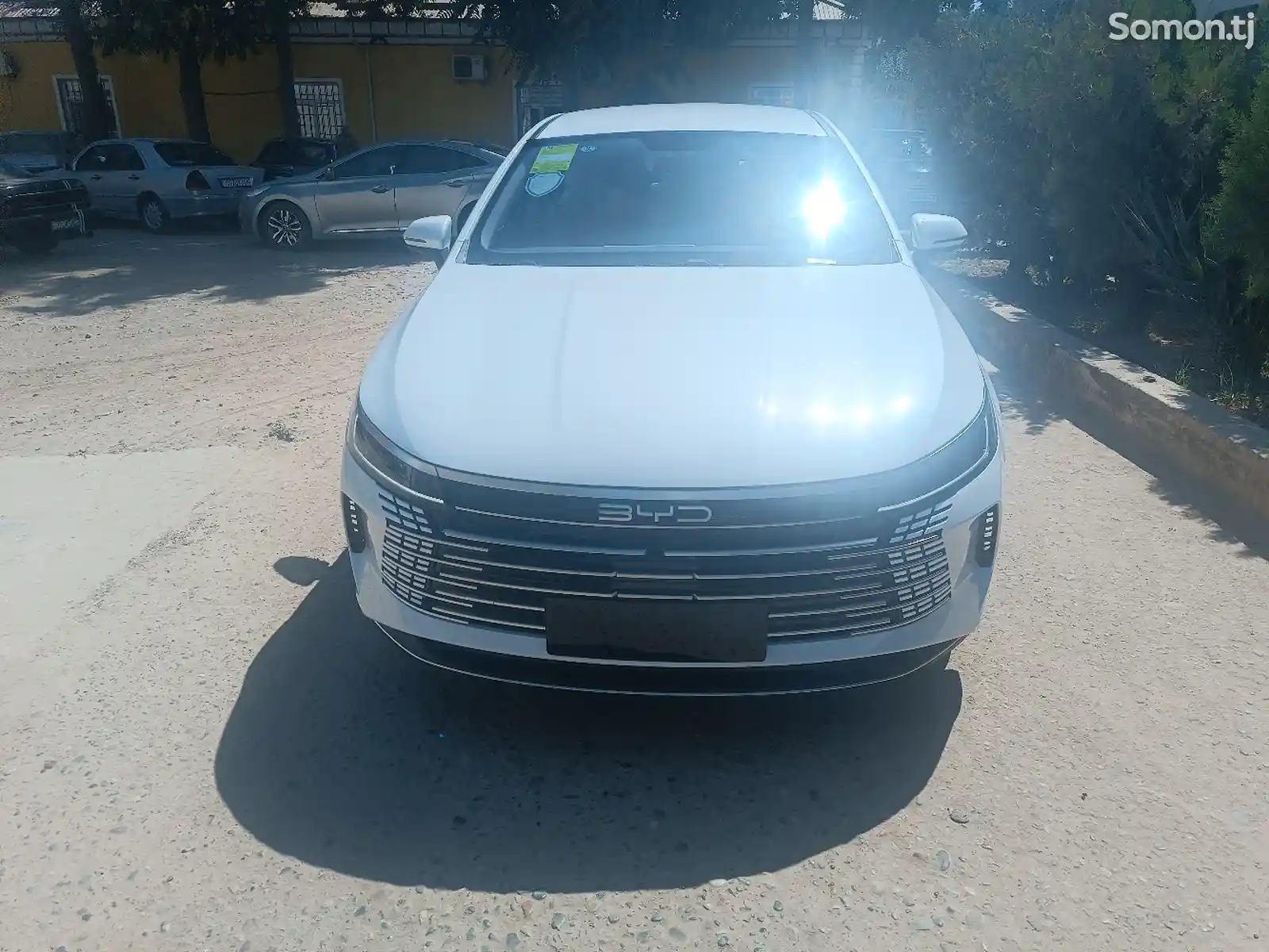 BYD , 2024-1