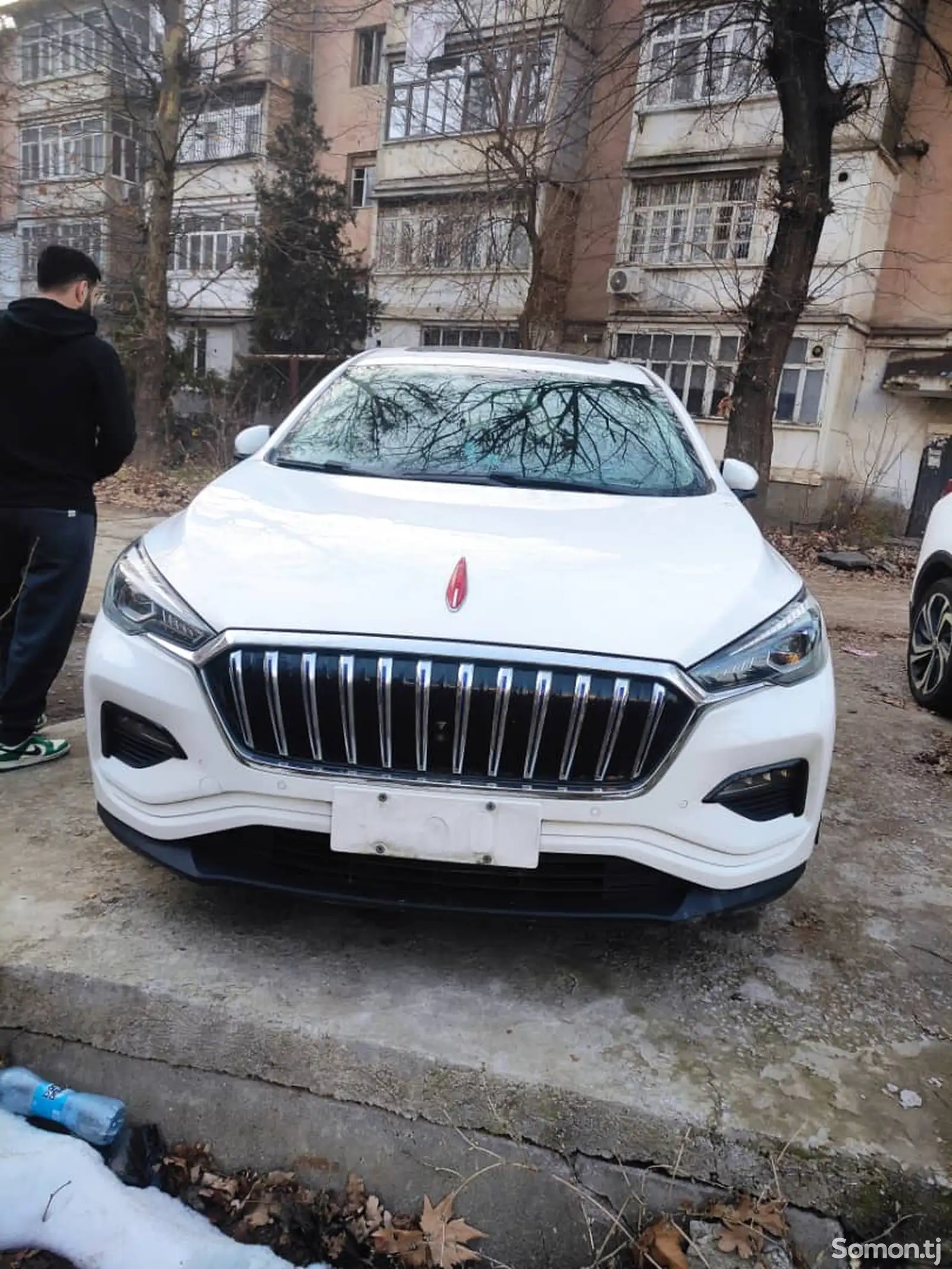 Hongqi E-HS3, 2019-1