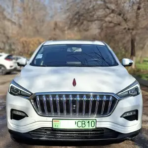 Hongqi E-HS3, 2019