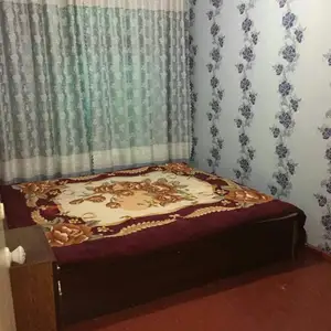 3-комн. квартира, 1 этаж, 70 м², Галаба (22)