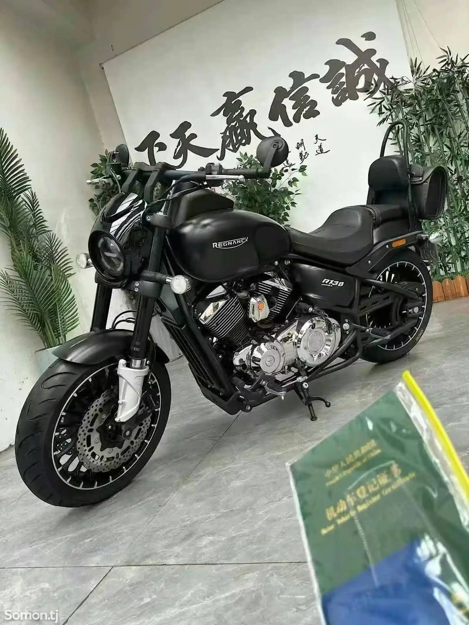 Мотоцикл Regnancy RX300 ABS на заказ-4