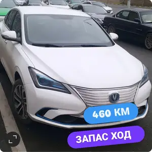 Changan Eado, 2019