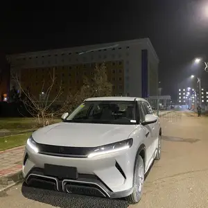 BYD Yuan Up, 2025