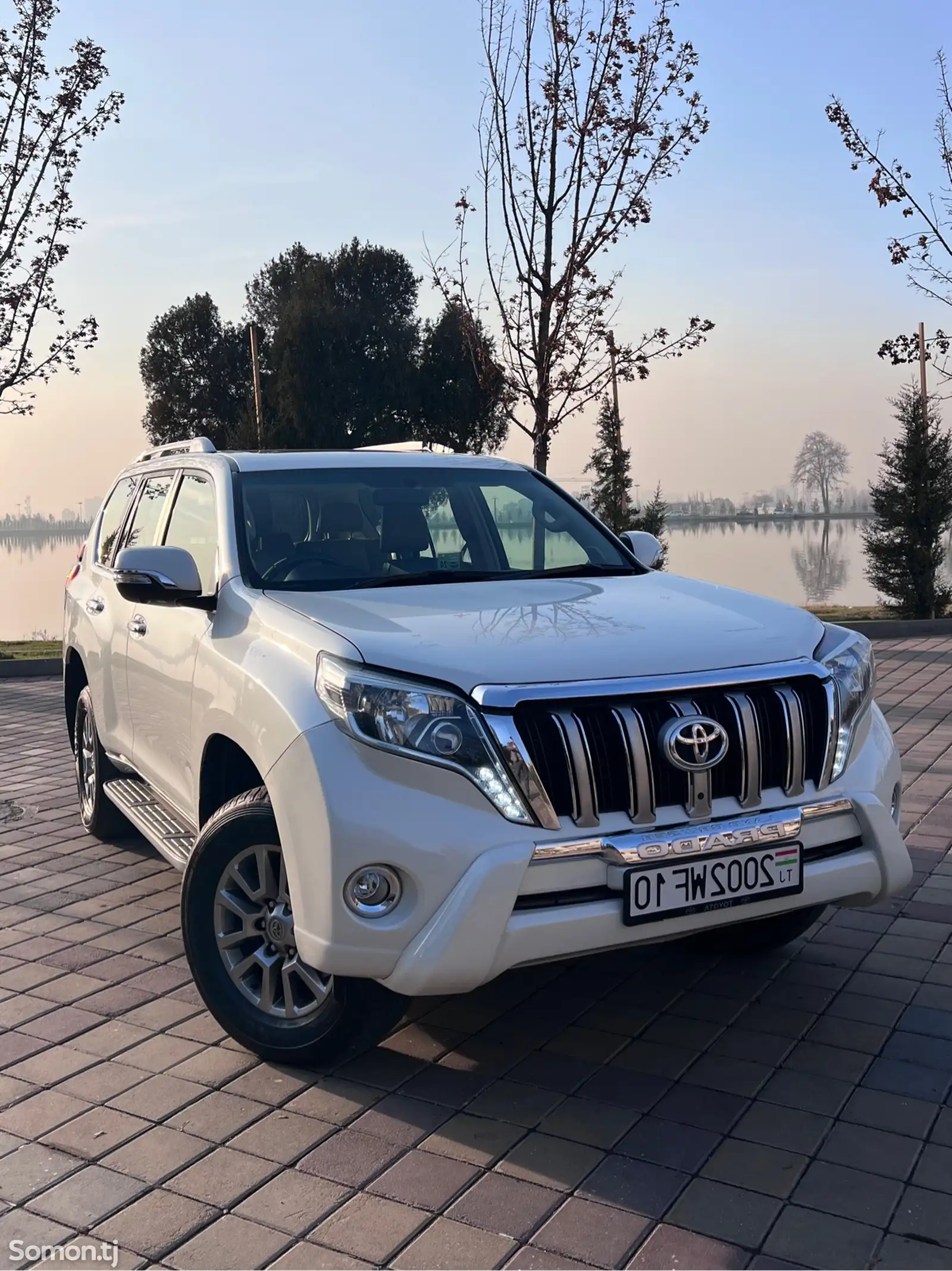 Toyota Land Cruiser Prado, 2011-1