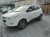 Hyundai Tucson, 2010-6