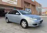 Toyota Corolla, 2006-3