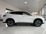 BYD Song Plus Flagship, 2025-4