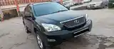 Lexus RX series, 2007-3