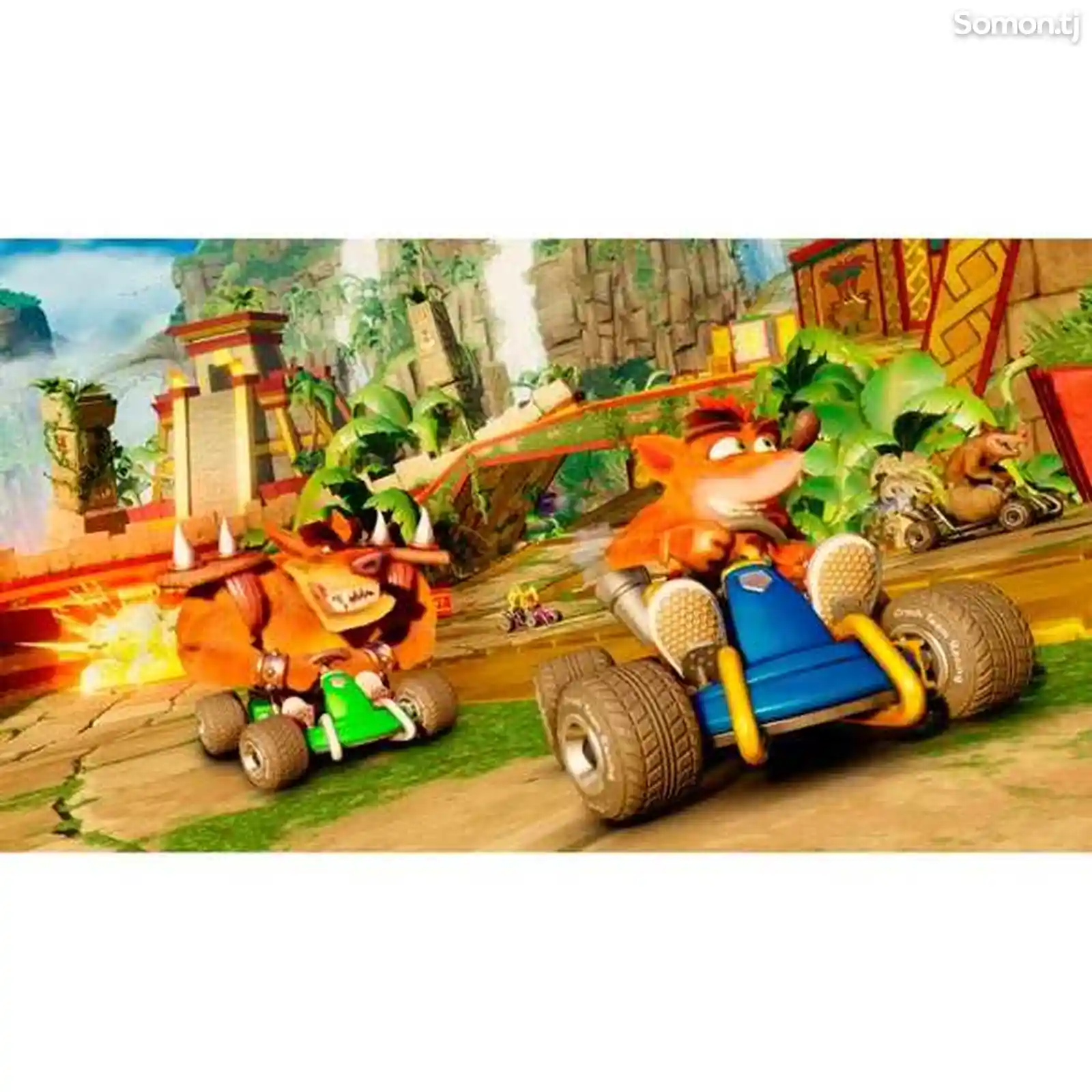Игра Activision Crash Team Racing Nitro-Fueled на Sony PS4-4
