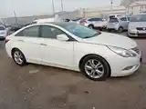 Hyundai Sonata, 2011-2