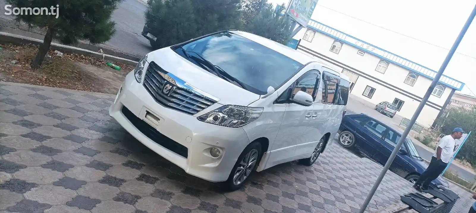 Toyota Alphard, 2010-1