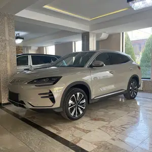 BYD Song Plus Flagship, 2024