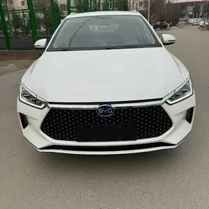 BYD E2, 2021