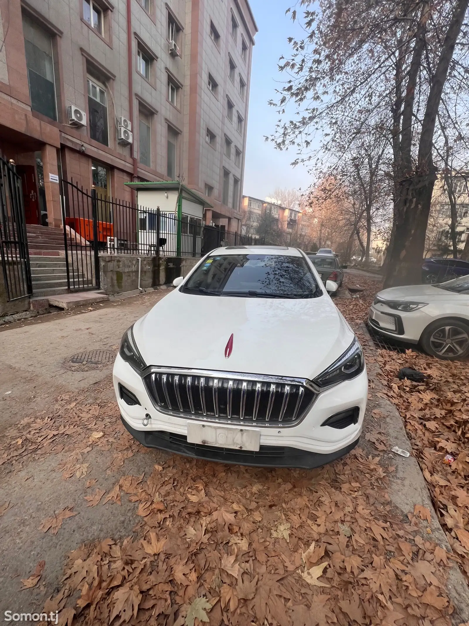 Hongqi E-HS9, 2019-1