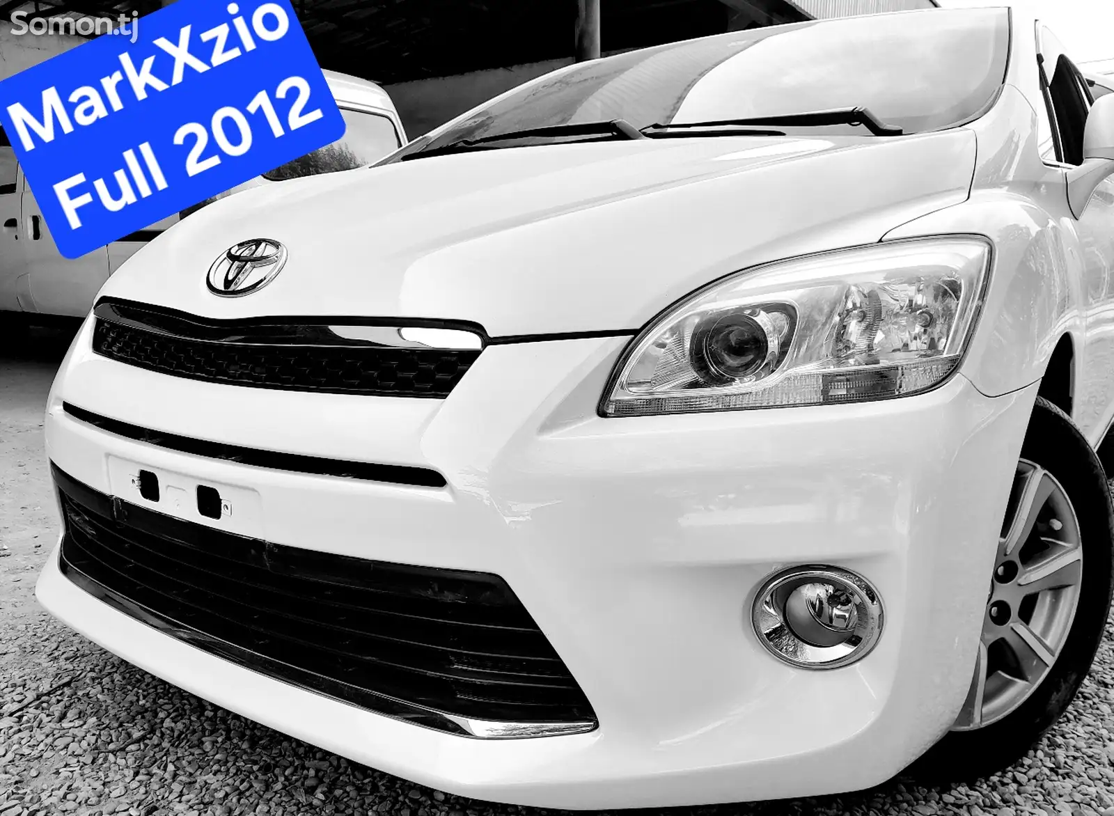 Toyota Mark X ZiO, 2013-1