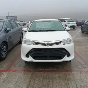 Toyota Axio, 2013