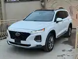 Hyundai Santa Fe, 2019-3