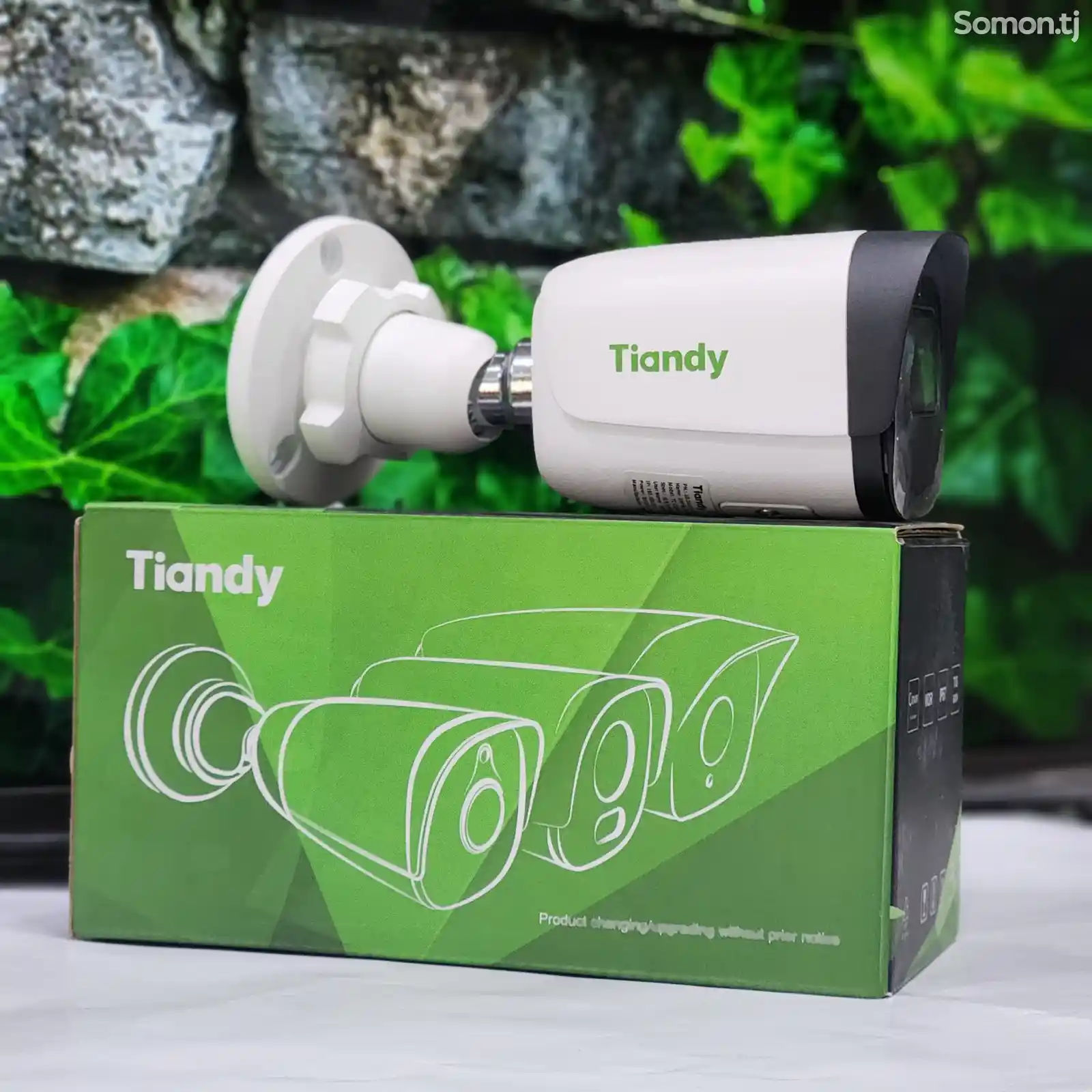 Камера Tiandy SMD IP 2MP со звуком TC-C32WS-2