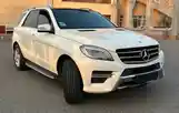 Mercedes-Benz ML class, 2012-7