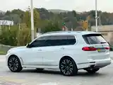 BMW X7, 2020-4