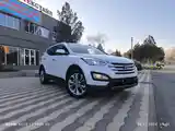 Hyundai Santa Fe, 2015-8