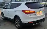 Hyundai Santa Fe, 2014-7