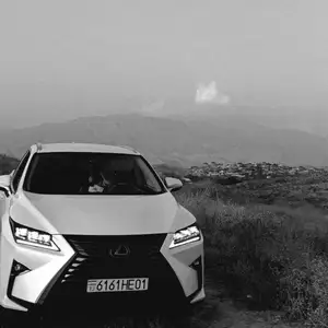 Lexus RX series, 2017