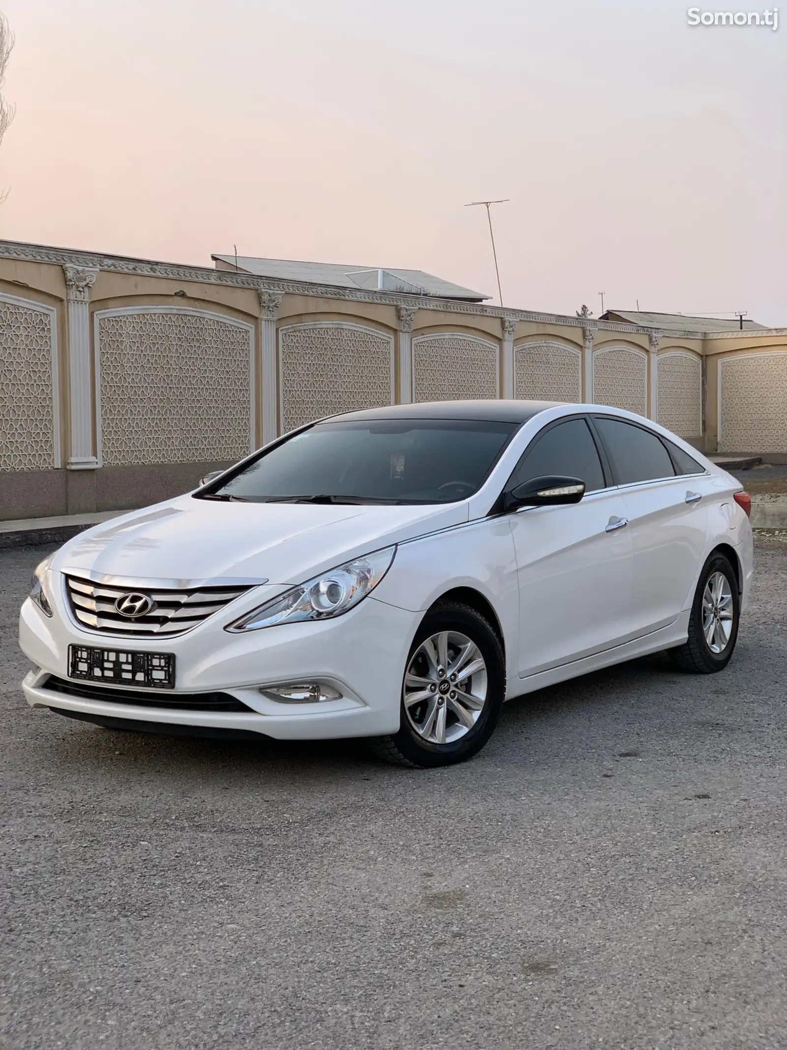 Hyundai Sonata, 2010-1