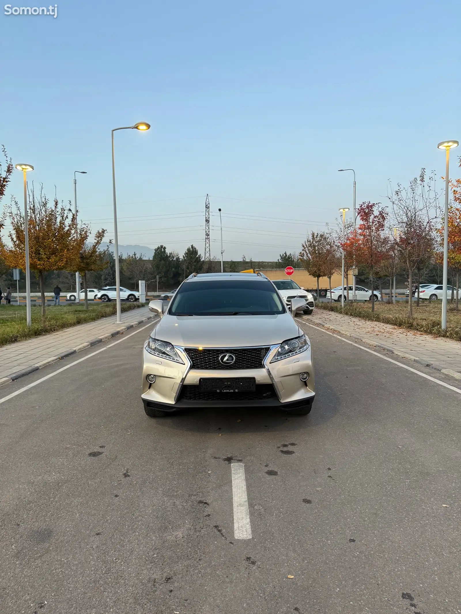 Lexus RX series, 2015-1