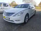 Hyundai Sonata, 2010-5